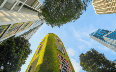 Construcción con Propósito Sostenible